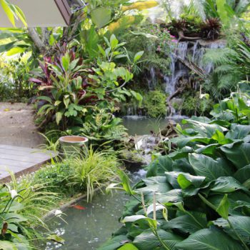 tasana garden information